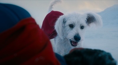 rev-1-spmn-trl-0009_high_res_jpeg