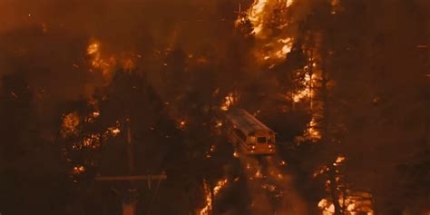 oip-1702711424._vvoqucixo23qz8xg7abxqhadt